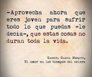 Majo