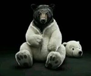 Jorge Arturo R