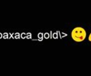 Oaxaca Gold
