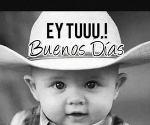 Vicente Flores