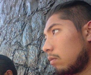 NESTOR