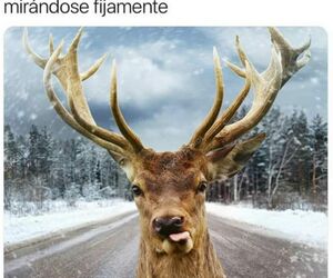 sahcpuebla8709