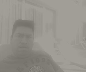 Gmo fdz hi