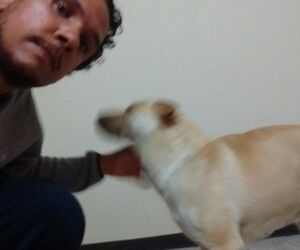 Rey Alva