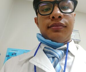 Luis501