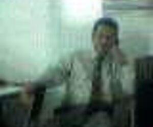 adonis melleva