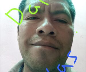 mele