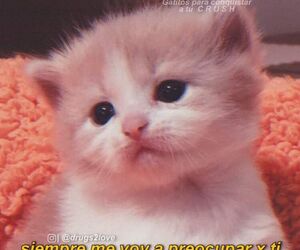 Jes?s