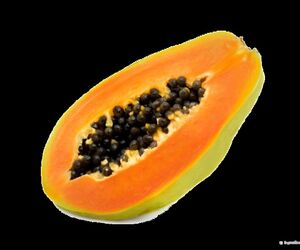 fruit