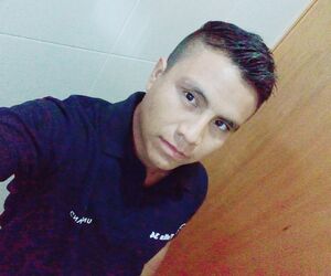Fer 1493
