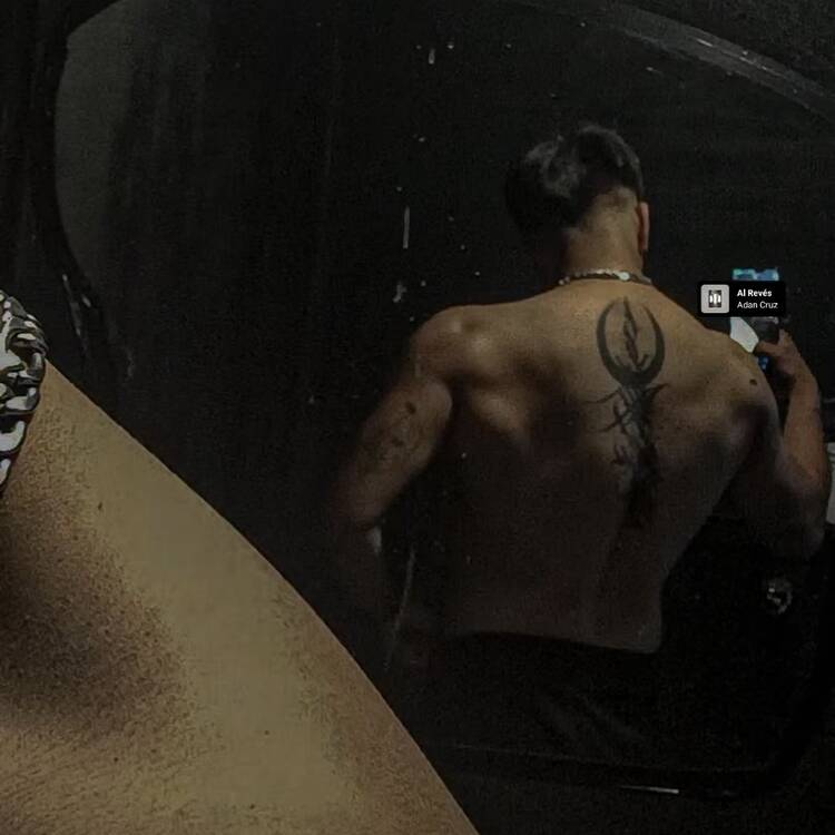 Foto de perfil de Andrés
