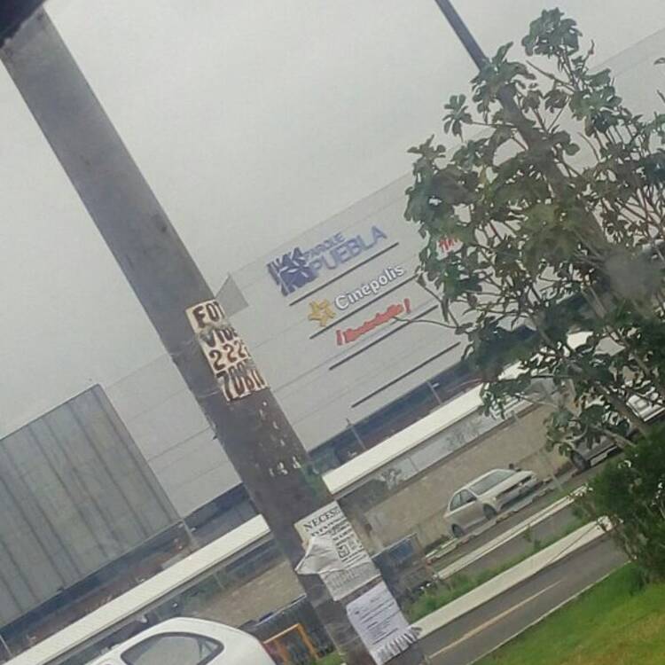 Foto de perfil de Antonio