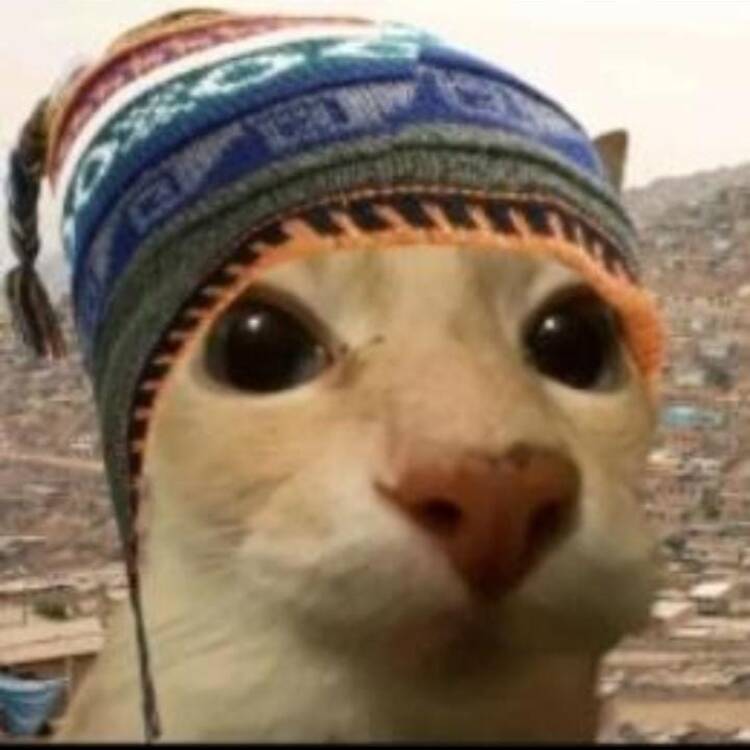 Foto de perfil de Manuel
