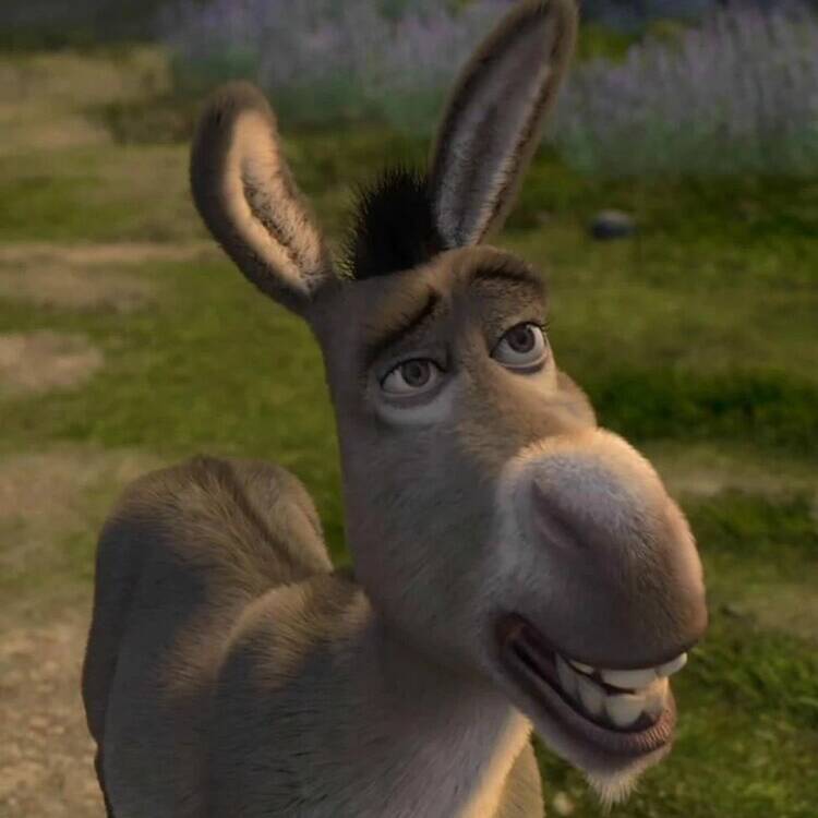 Foto de perfil de Ricardo