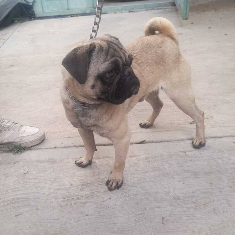 Foto de perfil de Benjamin