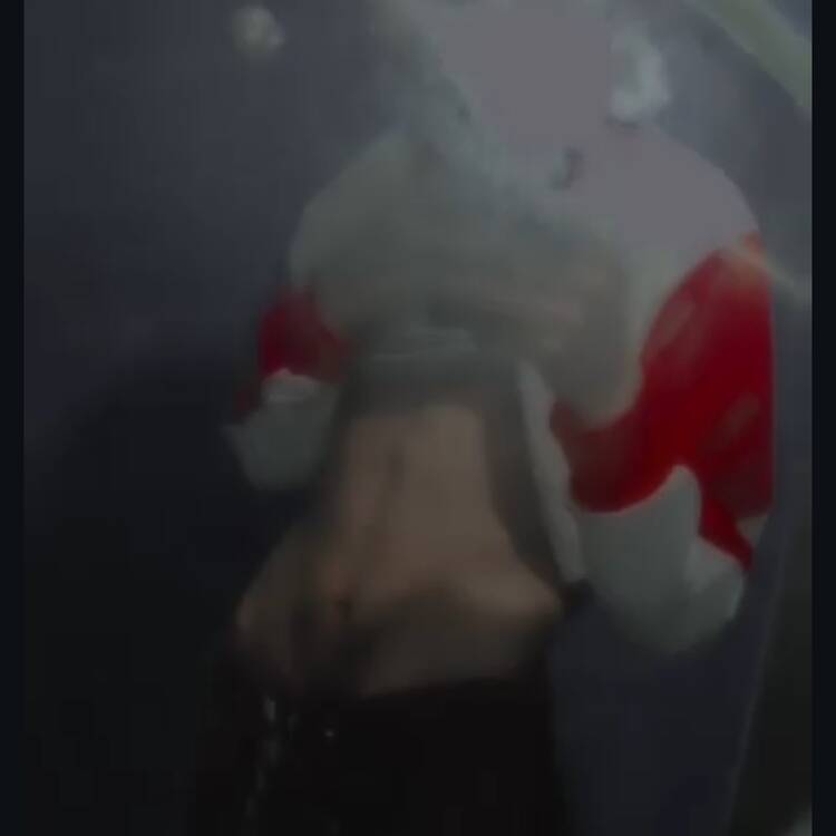 Foto de perfil de Corona