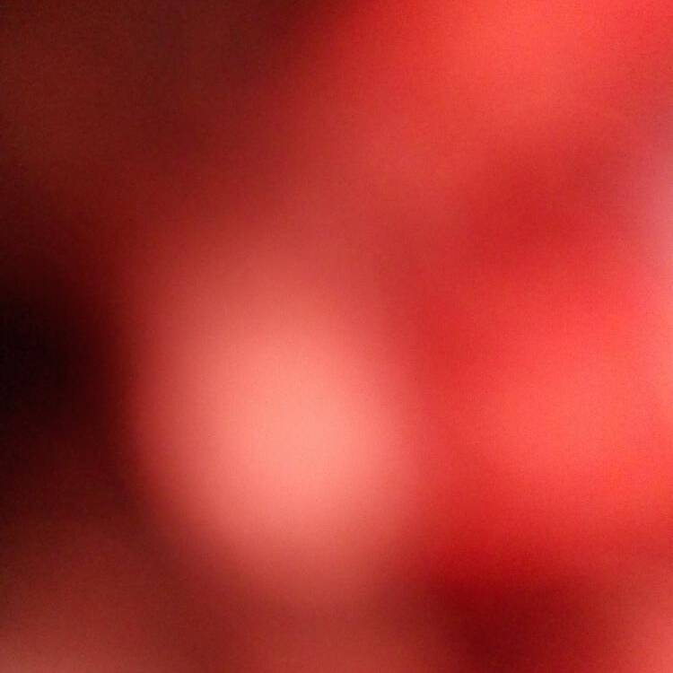 Foto de perfil de Lopez torres